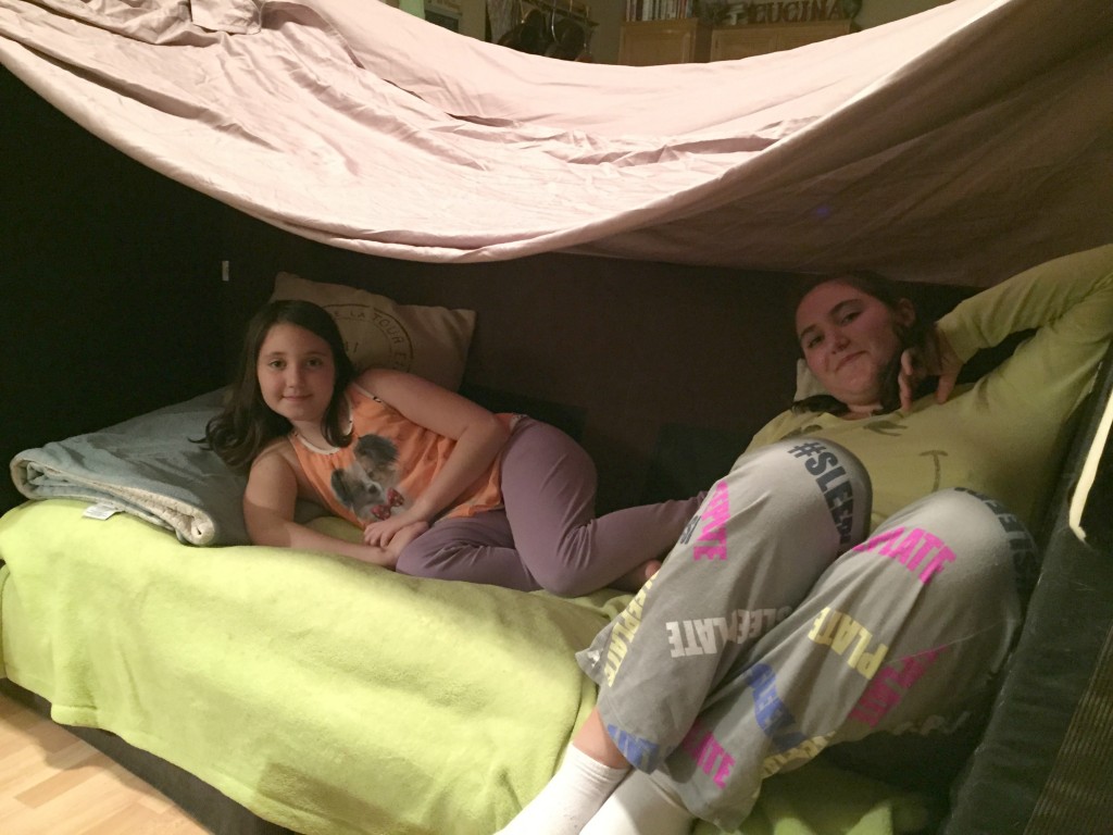fort2