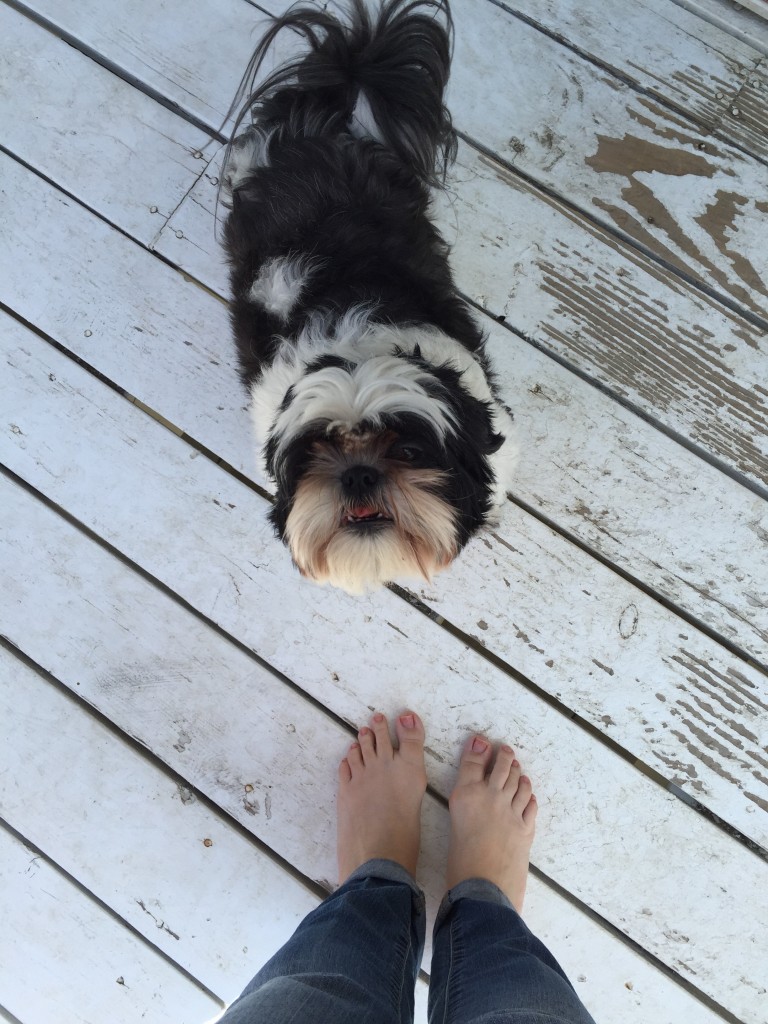 lulu