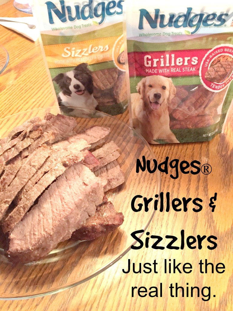 nudges2
