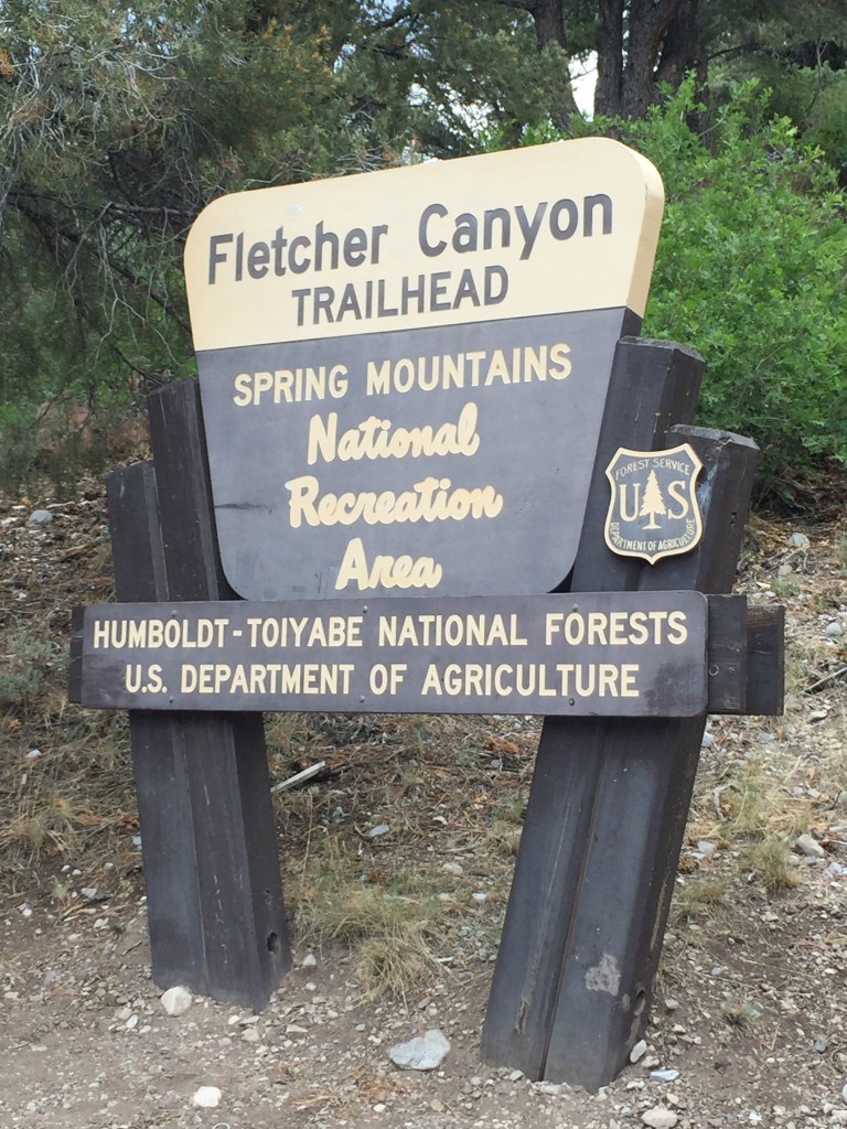 hike1