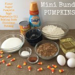 Mini Pumpkin Bundt Cake Recipe