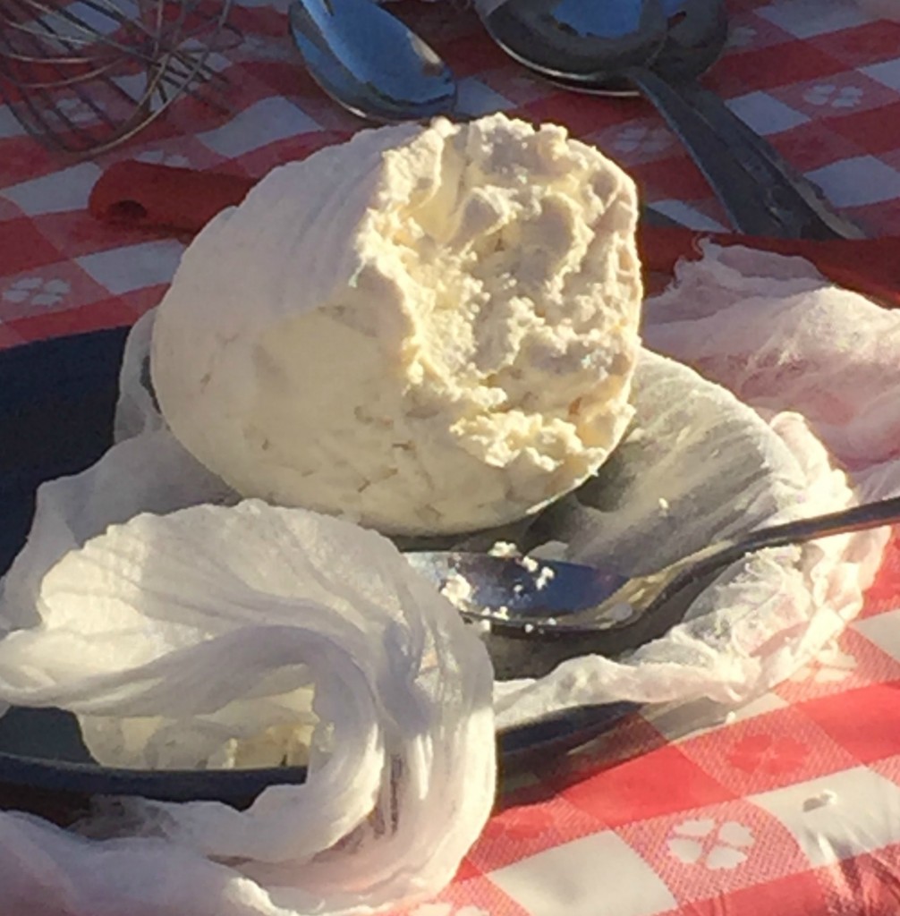 cheese