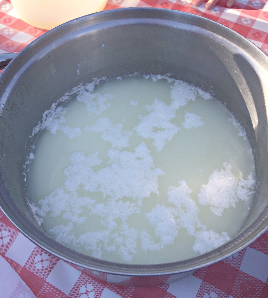 curds1
