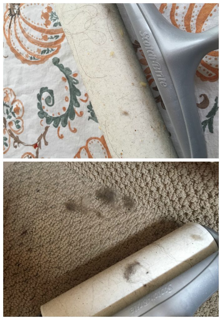 lint-roller